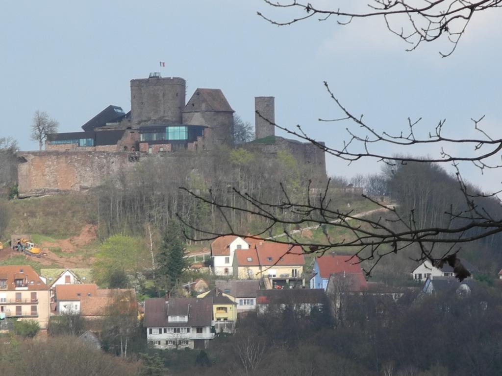 Au Pied Du Chateau Lichtenberg Cameră foto