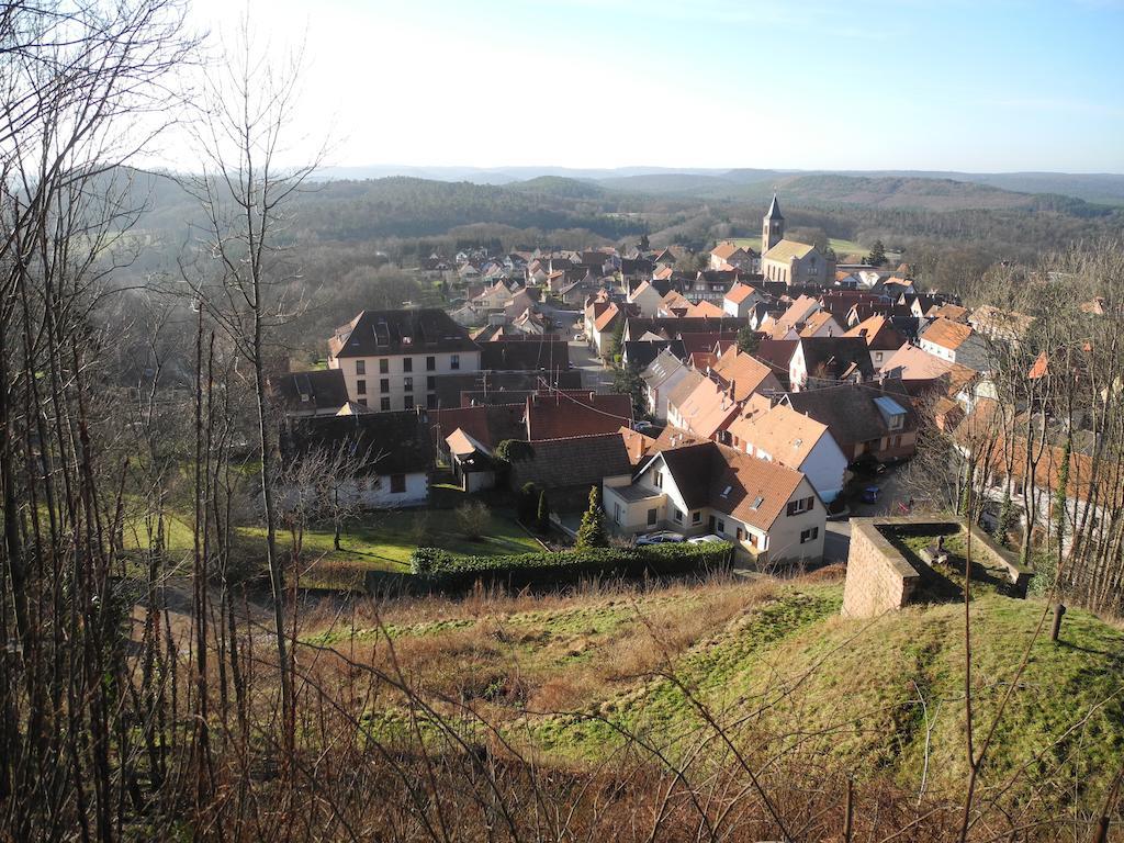 Au Pied Du Chateau Lichtenberg Cameră foto